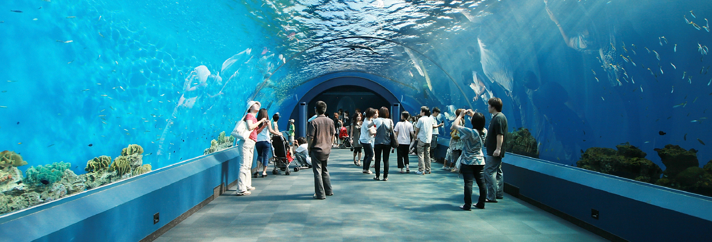 img03 img03